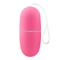 Ecopink Egg Vibrator with Remote Control