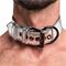 Collar With Leash-Silver