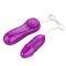 Laary Multi-Speed Egg Vibrator Purple