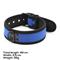 Neoprene Puppy collar