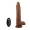 Bodach Thrusting, Rotating & Vibrating Dildo Cl.25