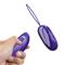 Selkie Youth Egg Vibrator with Remote Clave 96