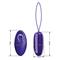 Selkie Youth Egg Vibrator with Remote Clave 96