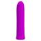 Curtis Bullet Vibrator Violet USB Silicone Cl. 125