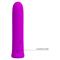 Curtis Bullet Vibrator Violet USB Silicone Cl. 125