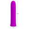 Curtis Bullet Vibrator Violet USB Silicone Cl. 125