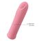 Curtis Bullet Vibrator Pink USB Silicone Clave 125