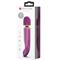 Vibrating Wand USB Rechargeable Purple Clave 17