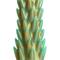 Stegosaurus Spiky Reptile Dildo Green