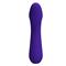 Cetus Vibrator Purple CL46