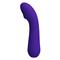 Cetus Vibrator Purple CL46