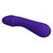 Cetus Vibrator Purple CL46