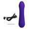 Cetus Vibrator Purple CL46