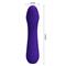 Cetus Vibrator Purple CL46