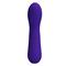 Faun Vibrator Purple CL46