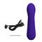 Faun Vibrator Purple CL46