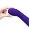 Faun Vibrator Purple CL46