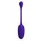 Knucker Vibrating Egg Purple CL46