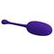 Knucker Vibrating Egg Purple CL46