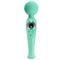 Skyler Massager Wand Green CL60