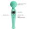 Skyler Massager Wand Green CL60