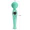 Skyler Massager Wand Green CL60