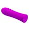 Alfreda Vibrator Violet CL125