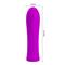 Alfreda Vibrator Violet CL125