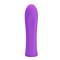 Alfreda Vibrator Purple CL125