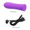 Alfreda Vibrator Purple CL125