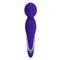 Walter Vibrating Massager Wand Violet CL25