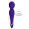 Walter Vibrating Massager Wand Violet CL25