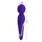 Walter Vibrating Massager Wand Violet CL25