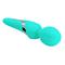 Walter Wand Vibrator Aqua CL25