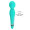 Walter Wand Vibrator Aqua CL25