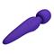 Meredith Vibrating Massager Wand Violet CL25