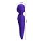 Meredith Vibrating Massager Wand Violet CL25