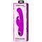 Lamar Vibrator G-Spot Rabbit Violet Cl32