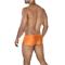 C4MSPX13-Hipster Brief-CopperSpring-S