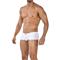 C4MSPX13-Hipster Brief-White-S