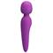 Meredith Wand Massager Violet USB Silicone Cl40