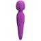 Meredith Wand Massager Violet USB Silicone Cl40