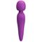 Meredith Wand Massager Violet USB Silicone Cl40