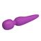 Meredith Wand Massager Violet USB Silicone Cl40