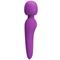 Meredith Wand Massager Violet USB Silicone Cl40