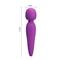 Meredith Wand Massager Violet USB Silicone Cl40