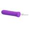 Blanche Stimulator Vibrator Purple CL125