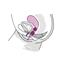 SMARTBALLS DUO white/pastel lilac-Cl.16