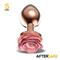 Rose Gold Anal Plug with Pink Rose S