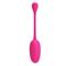 Knucker Vibrating Egg Pink Silicone cl65